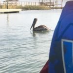 Intex 68307EP Explorer K2 Inflatable Kayak Set: Includes Deluxe 86in Aluminum Oars and High-Output Pump – SuperStrong PVC – Adjustable Seats with Backrest – 2-Person – 400lb Weight Capacity photo review