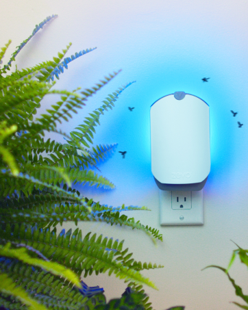 Zevo 2 Flying Insect Traps & 2 Refill Cartridges - Plug in Fly Trap & Indoor Bug Catcher for Gnats. House & Fruit Flies - Blue & UV Light Technology. Mess-Free Alternative to Bug Zapper