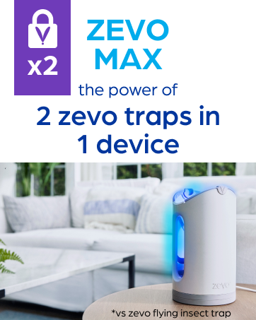 Zevo 2 Flying Insect Traps & 2 Refill Cartridges - Plug in Fly Trap & Indoor Bug Catcher for Gnats. House & Fruit Flies - Blue & UV Light Technology. Mess-Free Alternative to Bug Zapper