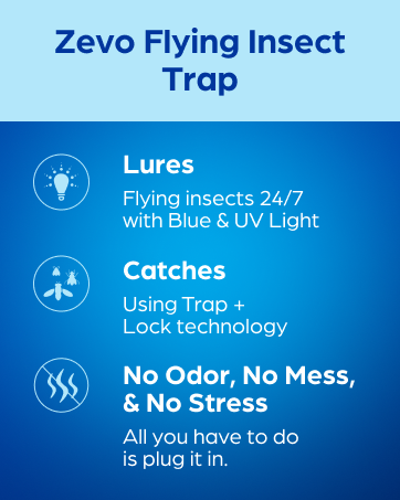 Zevo 2 Flying Insect Traps & 2 Refill Cartridges - Plug in Fly Trap & Indoor Bug Catcher for Gnats. House & Fruit Flies - Blue & UV Light Technology. Mess-Free Alternative to Bug Zapper