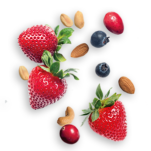 KIND Bars. Dark Chocolate Almond & Coconut. Healthy Snacks. Gluten Free. 24 Count