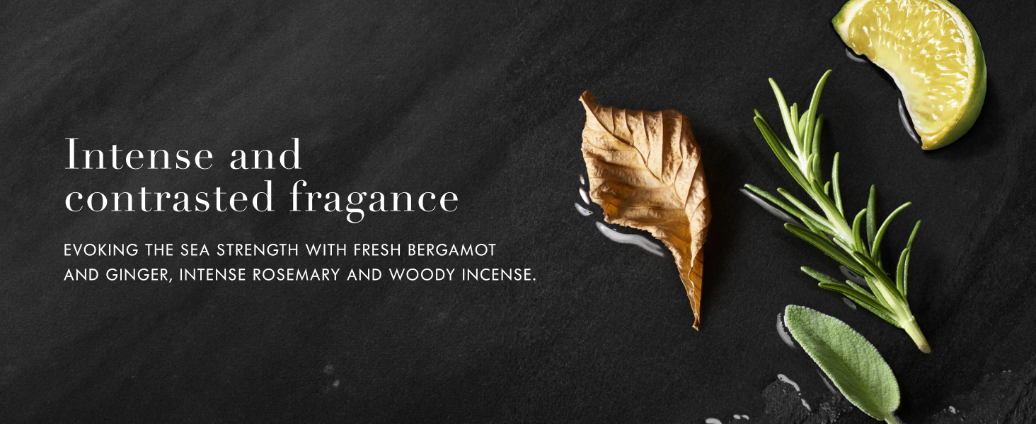 Armani Beauty - Acqua di Giò - Parfum - Cologne for Men - Fresh & Woody Men's Fragrance - Bergamot. Ginger. Marine. Geranium. Rosemary. Clary Sage. Patchouli. Incense Notes